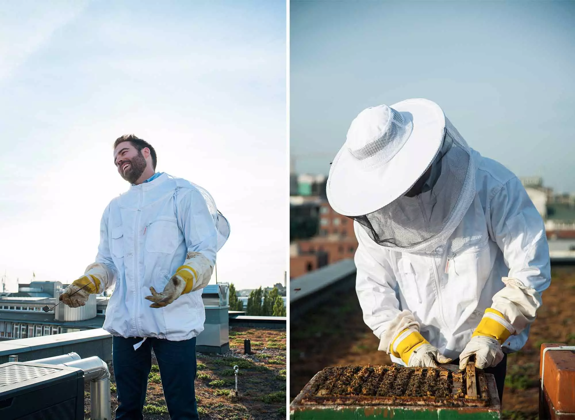 homtastics_Bienen-Story_08