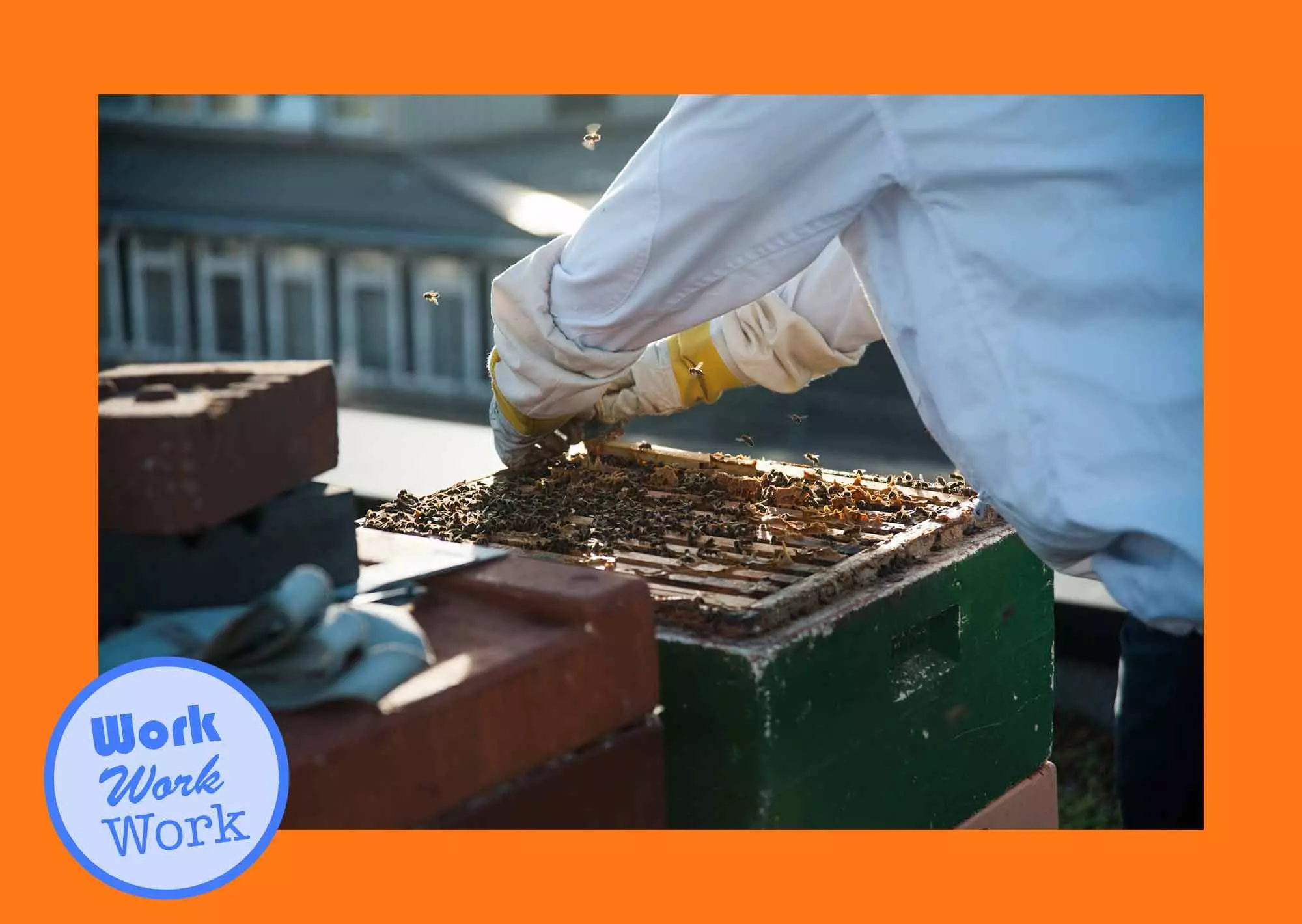 homtastics_Bienen-Story_09