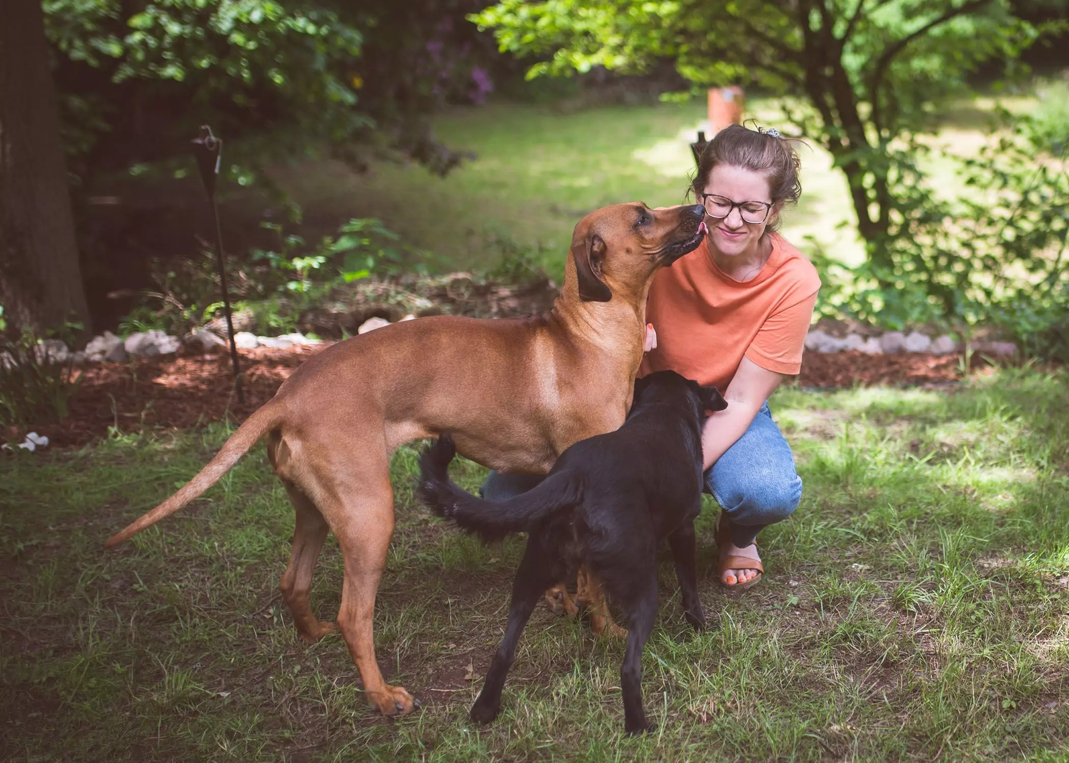 Autorin Corinna Mamok mit ihren Hunden | femtastics