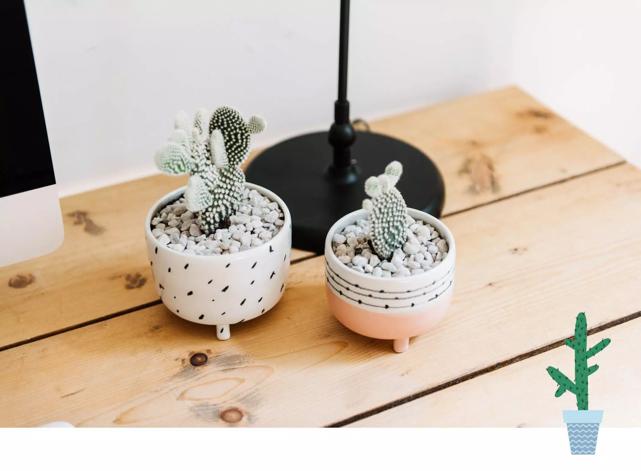 kleine-Wildnis-Shop_16