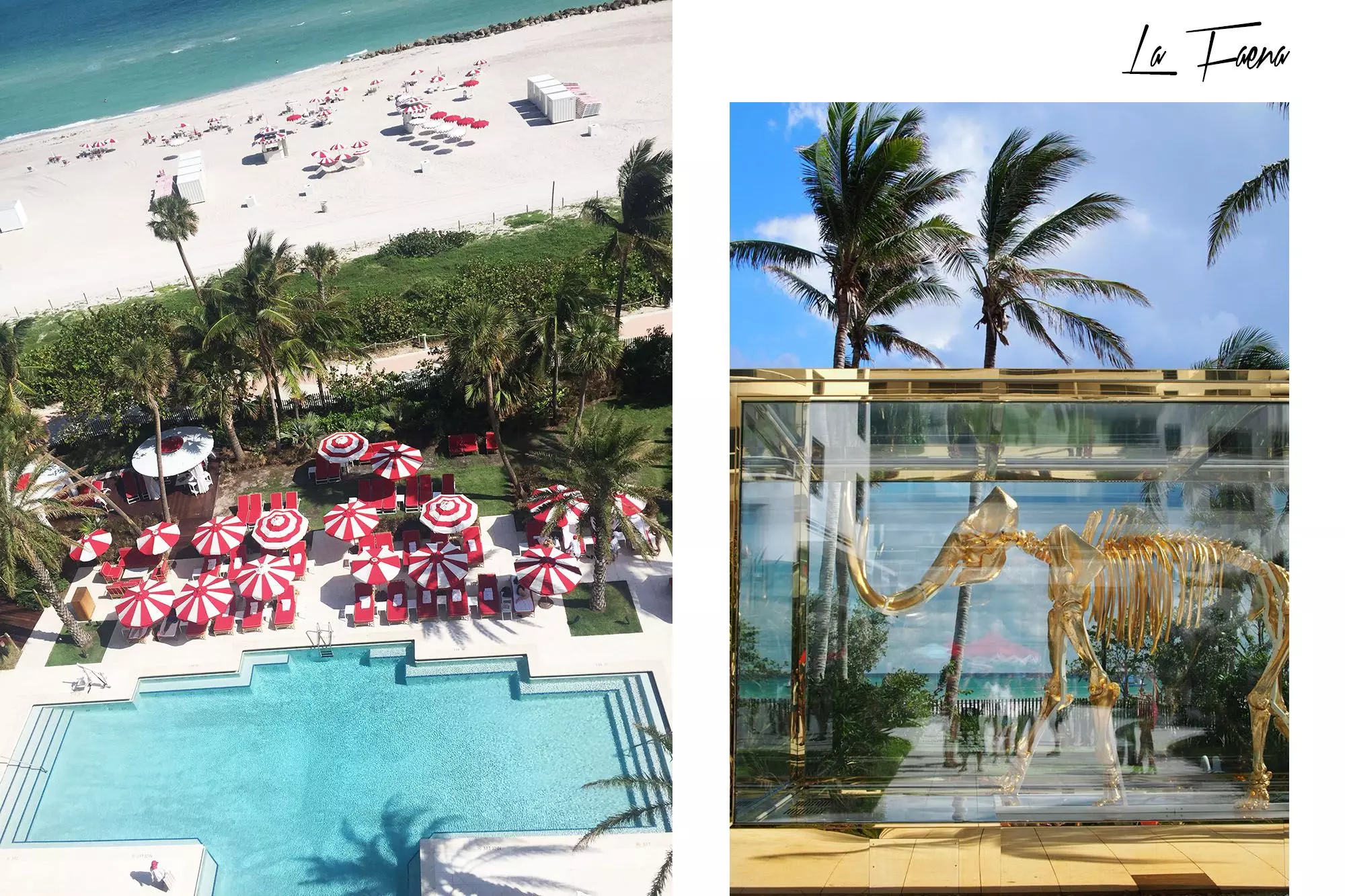la-faena