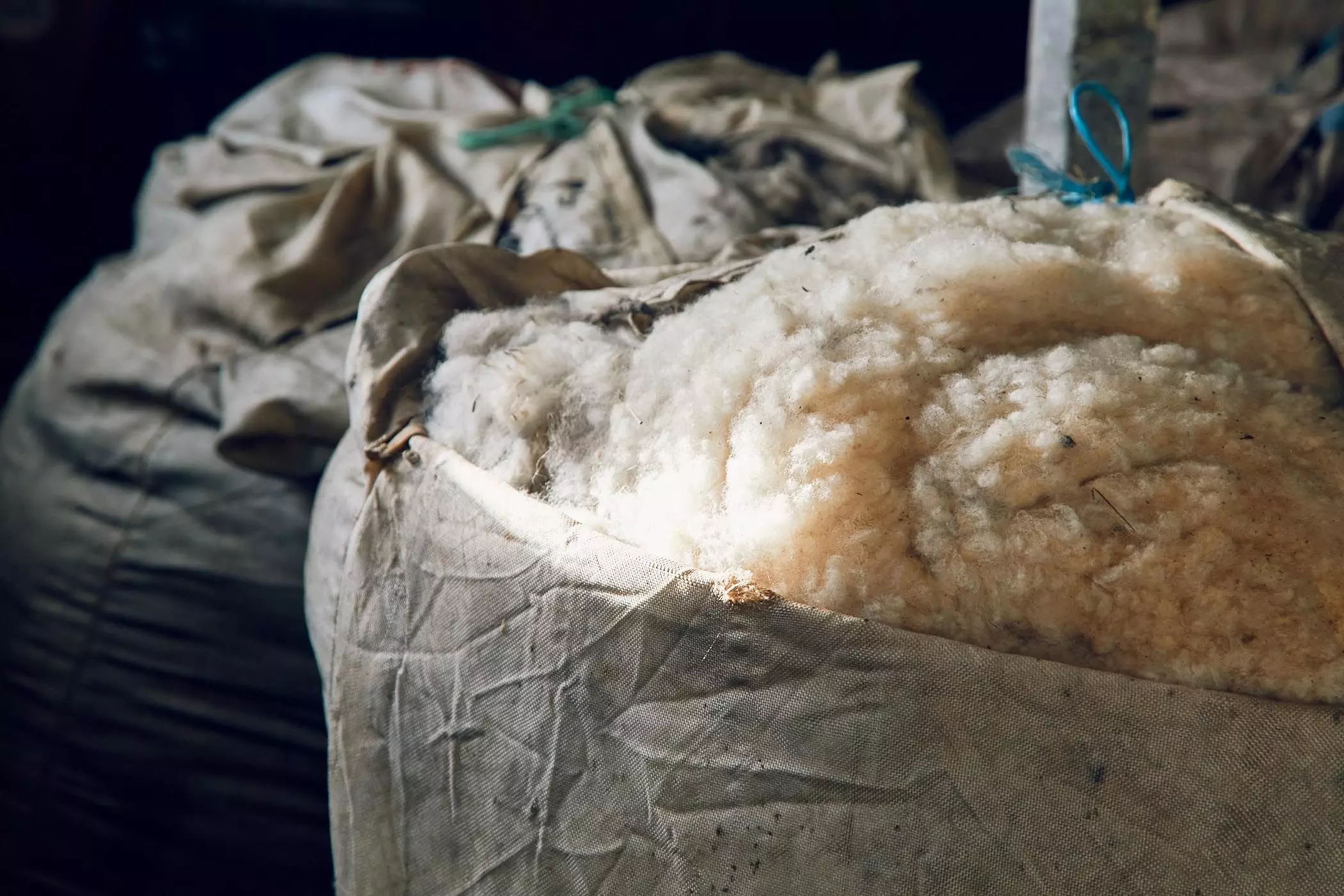 Frische Schurwolle im Schafstall der "Lykke Sheepfarm" - femtastics