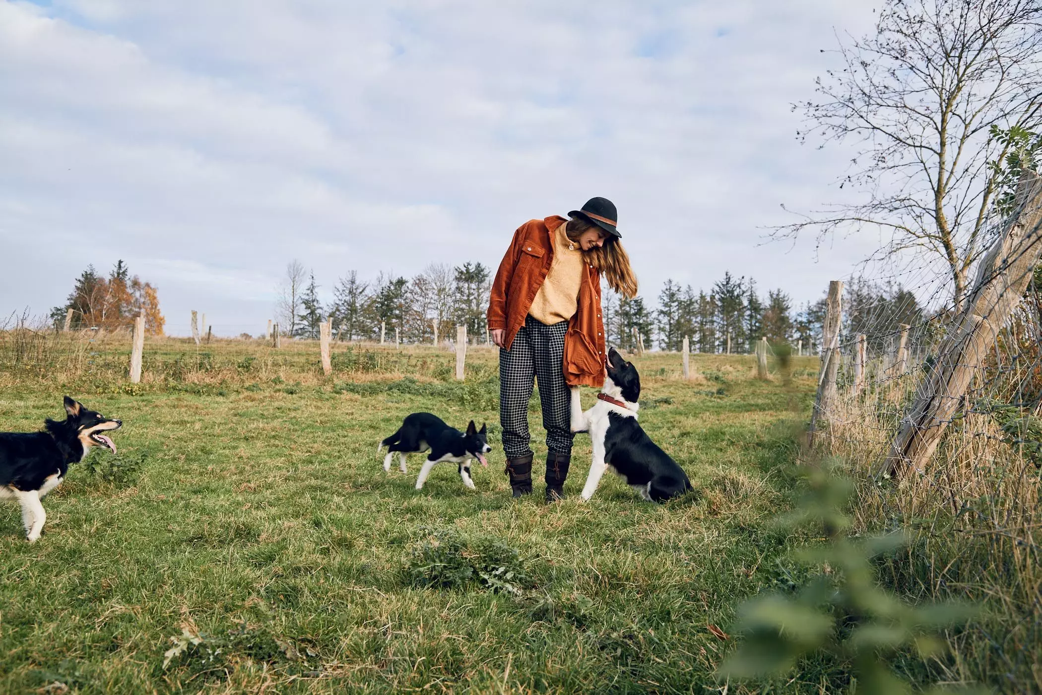 Schäferin Patricia Sachau von der "Lykke Sheepfarm" mit ihren Hütehunden - femtastics