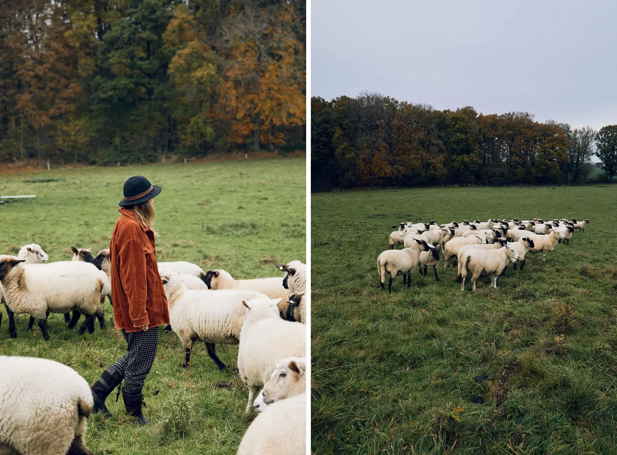 Schäferin Patricia Sachau von der "Lykke Sheepfarm" mit ihrer Herde - femtastics