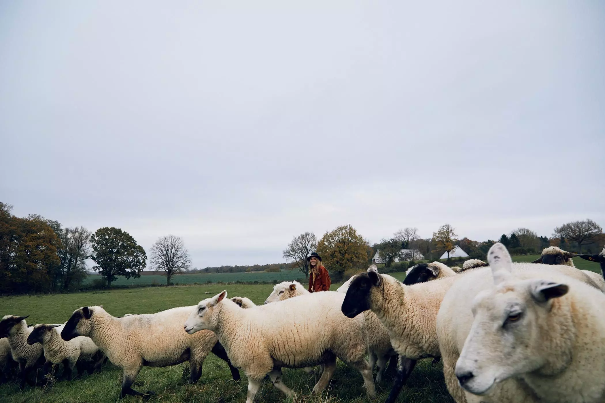 Die Schafe von Patricia Sachau von der "Lykke Sheepfarm" auf der Weide - femtastics
