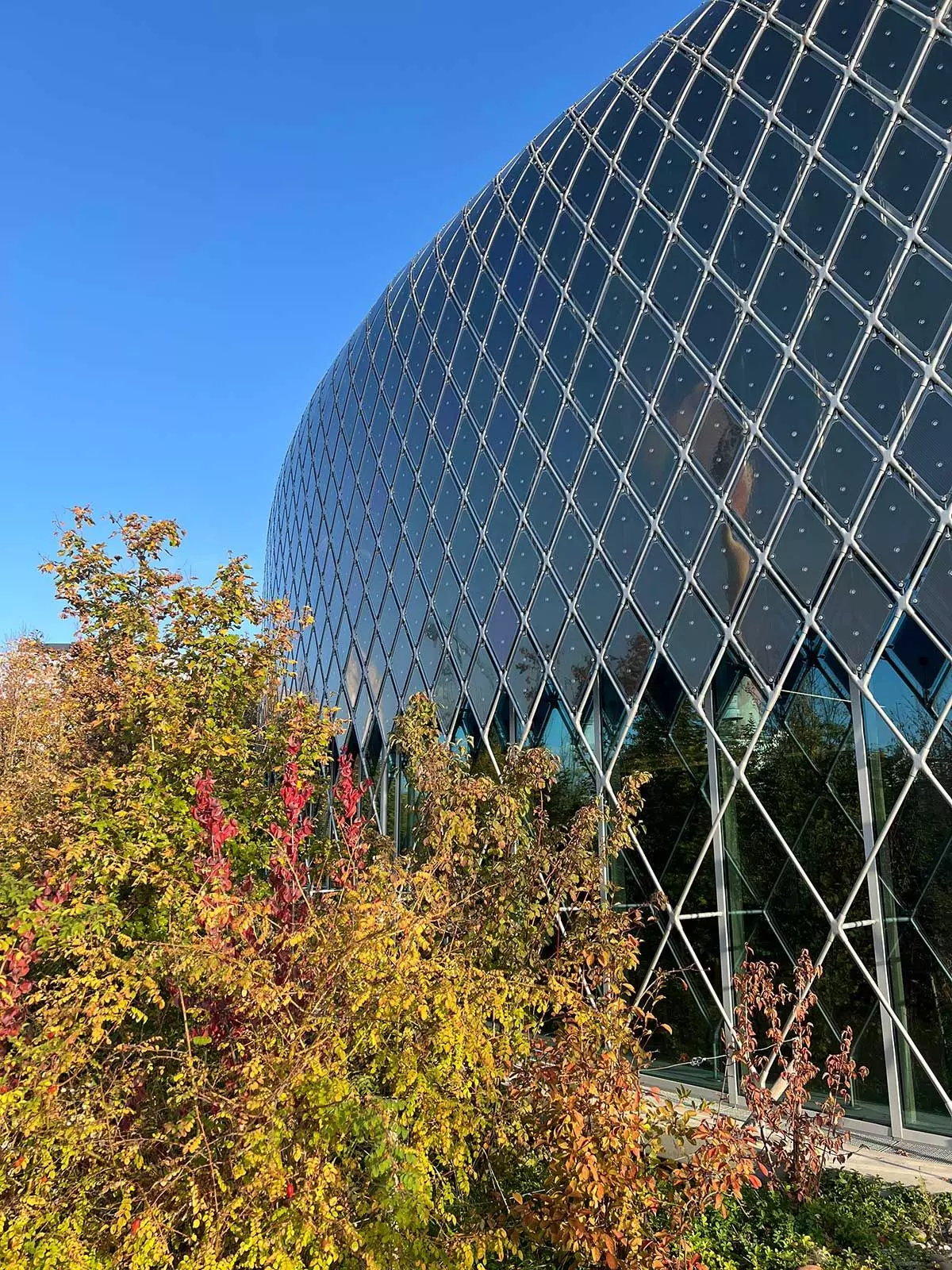 novartis-campus