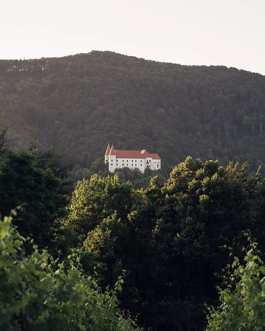 photo_Simon Srečkovičgrad_bizeljko_simon_sreckovic-photo-m