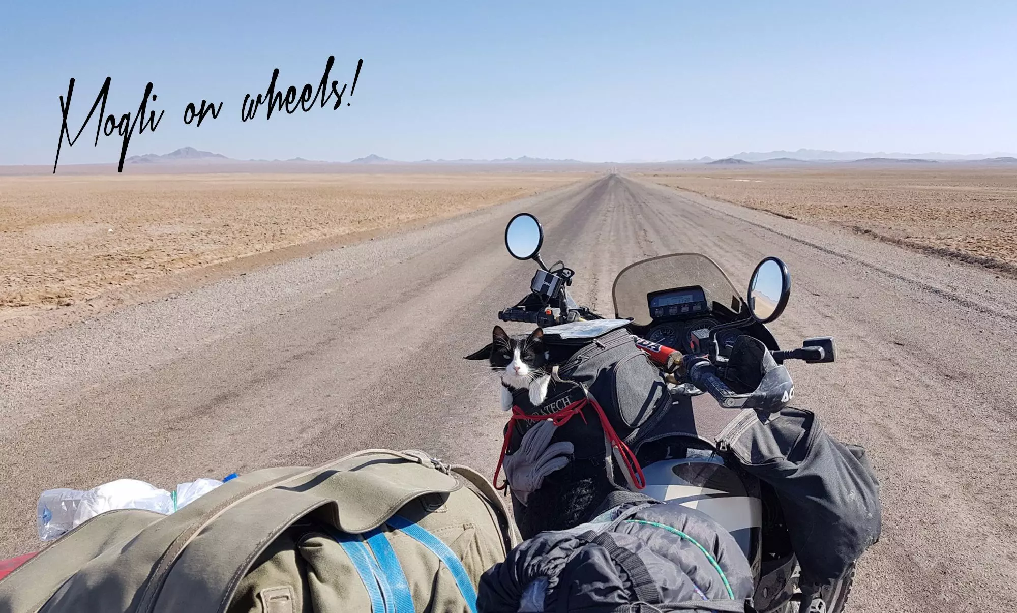 roadtrip-motorrad
