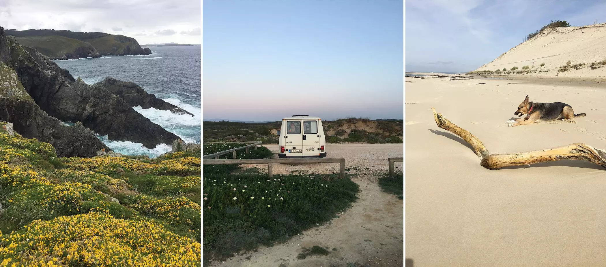 vanlife-Kolumne-femtastics