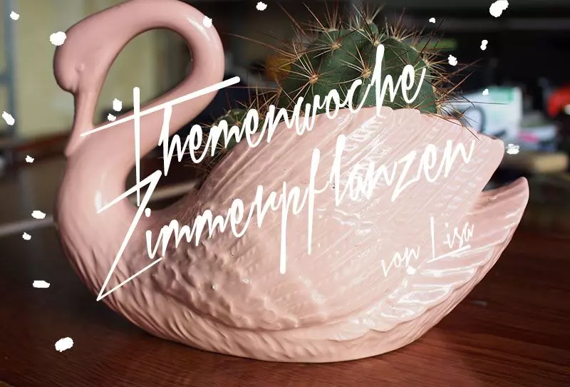 zimmerpflanzen-lisa-teaser