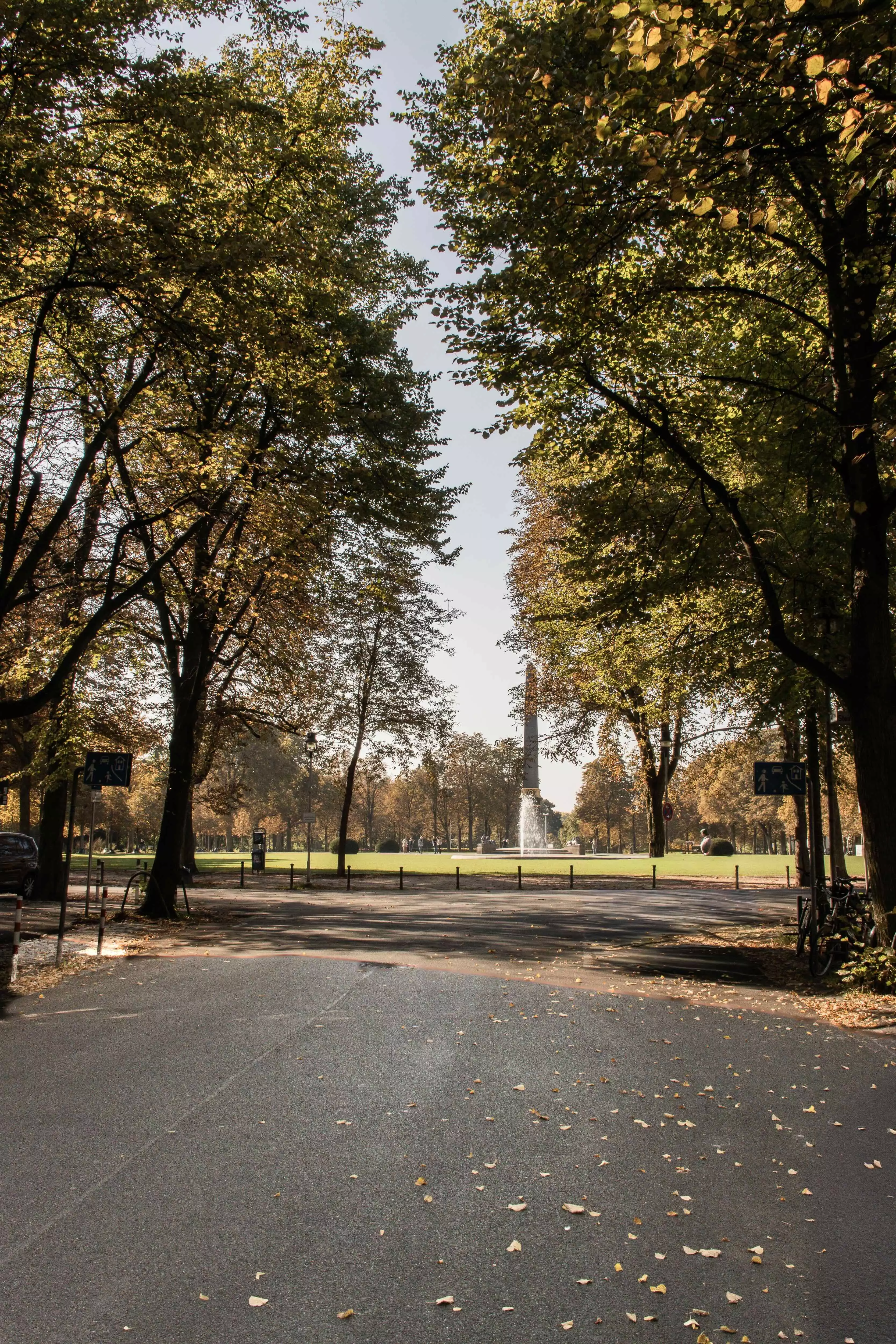 Der Blick die Straße hoch - im Hintergrund der Obelisk am Steintorwall Braunschweig.
